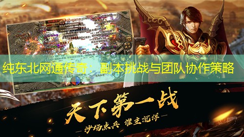 纯东北网通传奇：副本挑战与团队协作策略