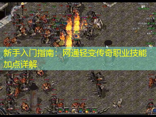 新手入门指南：网通轻变传奇职业技能加点详解