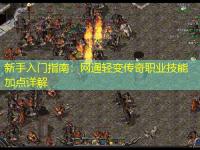 新手入门指南：网通轻变传奇职业技能加点详解