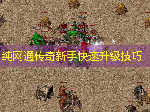纯网通传奇新手快速升级技巧