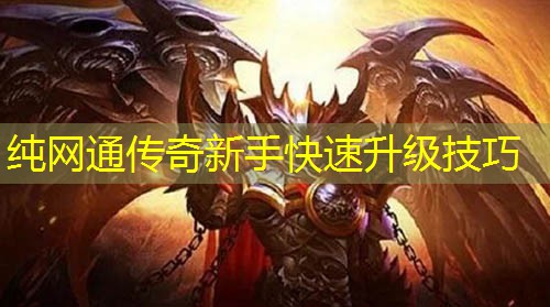 纯网通传奇新手快速升级技巧
