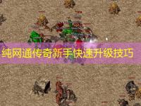 纯网通传奇新手快速升级技巧