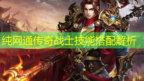 纯网通传奇战士技能搭配解析